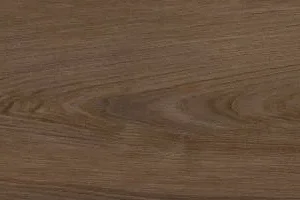 FRONTIER ESSENCE BROWN