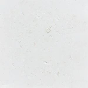 Shell Beige Limestone